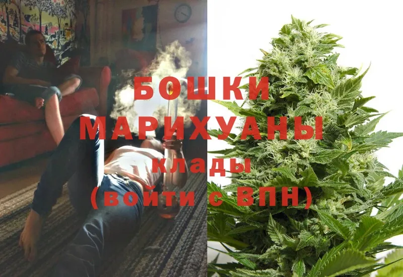 Марихуана индика  Бирск 